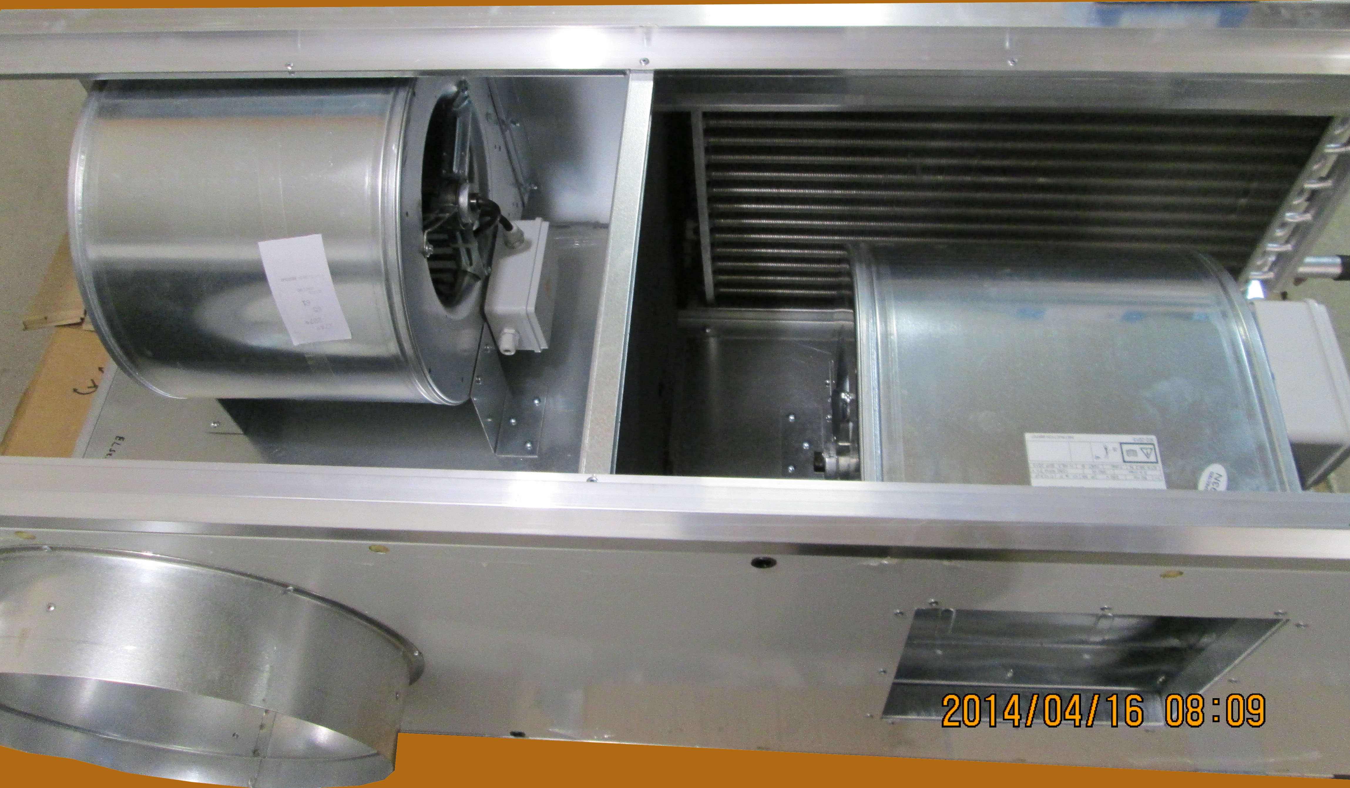 FEHU-M-20